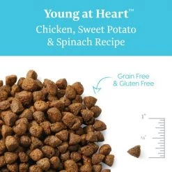 Solid Gold Young At Heart Senior Grain-Free Chicken, Sweet Potato & Spinach Dry Dog Food 8 Solid Gold Young At Heart Senior Grain-Free Chicken, Sweet Potato & Spinach Dry Dog Food -Pet Life Elegant shop 133713 PT2. SY630 V1543528015
