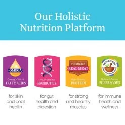 Solid Gold Young At Heart Senior Grain-Free Chicken, Sweet Potato & Spinach Dry Dog Food 10 Solid Gold Young At Heart Senior Grain-Free Chicken, Sweet Potato & Spinach Dry Dog Food -Pet Life Elegant shop 133713 PT4. SY630 V1543528019