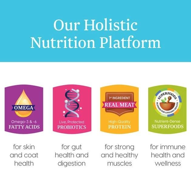 Solid Gold Young At Heart Senior Grain-Free Chicken, Sweet Potato & Spinach Dry Dog Food 5 Solid Gold Young At Heart Senior Grain-Free Chicken, Sweet Potato & Spinach Dry Dog Food - Image 5