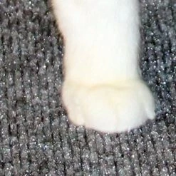 Drymate Corner Cat Litter Mat, 29.5-in 16 Drymate Corner Cat Litter Mat, 29.5-in -Pet Life Elegant shop 134952 PT7. SY630 V1502744879