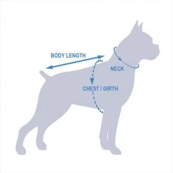 Pet Life Quick-Dry Stretch Active Dog T-Shirt -Pet Life Elegant shop 152131 PT8. SY630 V1549553828