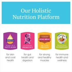 Solid Gold SunDancer 95% Chicken Recipe Grain-Free Canned Dog Food 10 Solid Gold SunDancer 95% Chicken Recipe Grain-Free Canned Dog Food -Pet Life Elegant shop 157116 PT4. SY630 V1547218931