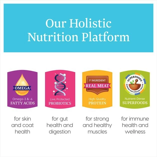 Solid Gold Hund-n-Flocken Lamb, Brown Rice & Barley Recipe Canned Dog Food 5 Solid Gold Hund-n-Flocken Lamb, Brown Rice & Barley Recipe Canned Dog Food - Image 5