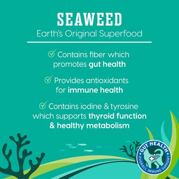 Solid Gold SeaMeal Squeeze with Chicken In Gravy Mousse Lickable Cat Treat, 4 count 6 Solid Gold SeaMeal Squeeze with Chicken In Gravy Mousse Lickable Cat Treat, 4 count - Image 6