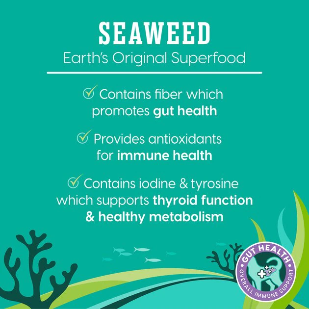 Solid Gold SeaMeal Squeeze with Tuna In Gravy Mousse Lickable Cat Treat, 4 count 6 Solid Gold SeaMeal Squeeze with Tuna In Gravy Mousse Lickable Cat Treat, 4 count - Image 6