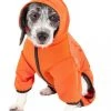 Pet Life Active Pawsterity Dog Hoodie