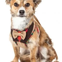 Pet Life Luxe Dapperbone 2-In-1 Mesh Reversible Dog Harness & Leash -Pet Life Elegant shop 244821 PT5. SY630 V1596502571