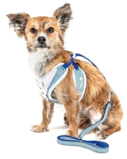 Pet Life Luxe Spawling 2-In-1 Mesh Reversible Dog Harness & Leash 2 Pet Life Luxe Spawling 2-In-1 Mesh Reversible Dog Harness & Leash - Image 2