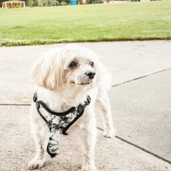 Pet Life Bonatied Mesh Reversible Dog Harness -Pet Life Elegant shop 244850 PT8. SY630 V1596720978