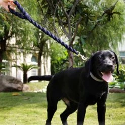 Pet Life Tough-Tugger Industrial-Strength Shock Absorption Woven Dog Leash -Pet Life Elegant shop 244880 PT6. SY630 V1596550867