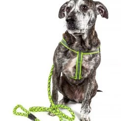 Pet Life Reflective Stitched Easy Tension 2-in-1 Dog Leash & Harness -Pet Life Elegant shop 244902 PT5. SY630 V1596728173