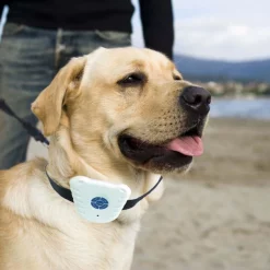 Pet Life Non-Shock Safe Anti-Bark Dog Collar 9 Pet Life Non-Shock Safe Anti-Bark Dog Collar -Pet Life Elegant shop 244919 PT3. SY630 V1596663108