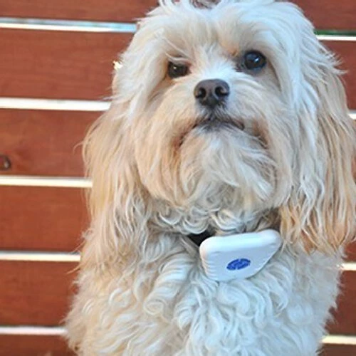 Pet Life Non-Shock Safe Anti-Bark Dog Collar 6 Pet Life Non-Shock Safe Anti-Bark Dog Collar - Image 6