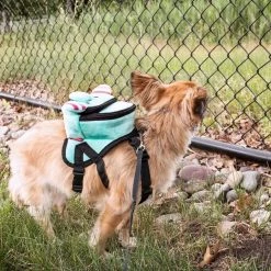 Pet Life Dumbone Dual-Pocketed Dog Harness Backpack -Pet Life Elegant shop 245402 PT8. SY630 V1596651102