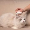 Pet Life Scwubba Bathing Brushing & Massaging Soft Flexible Grooming Dog & Cat Comb