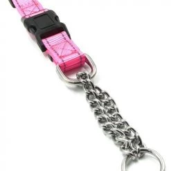 Pet Life Tutor-Sheild Safety & Training Chain Martingale Dog Collar