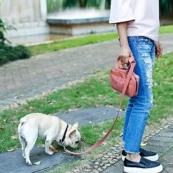 Pet Life Posh Walk Purse Accessory Holder & Waste Bag Dispenser Dog Leash -Pet Life Elegant shop 328233 PT6. SY630 V1631310383