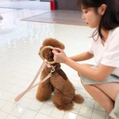 Pet Life Ever-Craft Boutique Series Beechwood & Leather Designer Dog Leash -Pet Life Elegant shop 328236 PT2. SY630 V1631311032