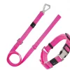 Pet Life Advent Outdoor Series 3M Reflective 2-in-1 Durable Martingale Training Dog Leash & Collar