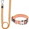 Pet Life Escapade Outdoor Series 2-in-1 Convertible Dog Leash & Collar