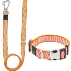 Pet Life Escapade Outdoor Series 2-in-1 Convertible Dog Leash & Collar