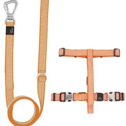 Pet Life Escapade Outdoor Series 2-in-1 Convertible Dog Leash & Harness