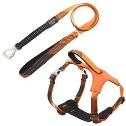 Pet Life Geo-prene 2-in-1 Shock Absorbing Neoprene Padded Reflective Dog Leash & Harness
