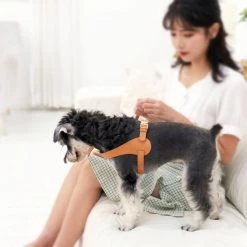 Pet Life Ever-Craft Boutique Series Designer Adjustable Leather Dog Harness -Pet Life Elegant shop 328317 PT2. SY630 V1631310145