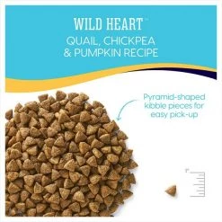 Solid Gold Wild Heart Sensitive Stomach Grain-Free Quail, Chickpea & Pumpkin Dry Dog Food -Pet Life Elegant shop 87522 PT3. SY630 V1565980066