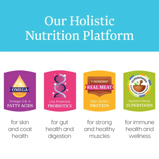 Solid Gold Mighty Mini Turkey & Hearty Vegetable Recipe in Gravy Grain-Free Small Breed Dog Food Cups 5 Solid Gold Mighty Mini Turkey & Hearty Vegetable Recipe in Gravy Grain-Free Small Breed Dog Food Cups - Image 5