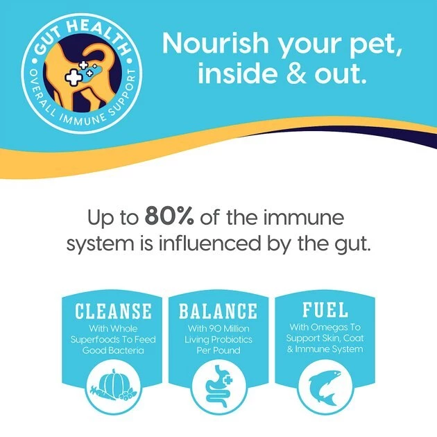 Solid Gold Winged Tiger with Quail & Pumpkin Grain-Free Sensitive Stomach Adult Dry Cat Food 6 Solid Gold Winged Tiger with Quail & Pumpkin Grain-Free Sensitive Stomach Adult Dry Cat Food - Image 6