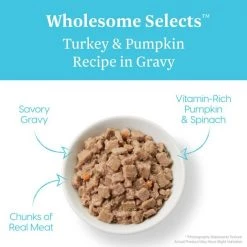 Solid Gold Wholesome Selects with Real Turkey & Pumpkin Recipe in Gravy Grain-Free Canned Cat Food -Pet Life Elegant shop 99360 PT2. SY630 V1543524431